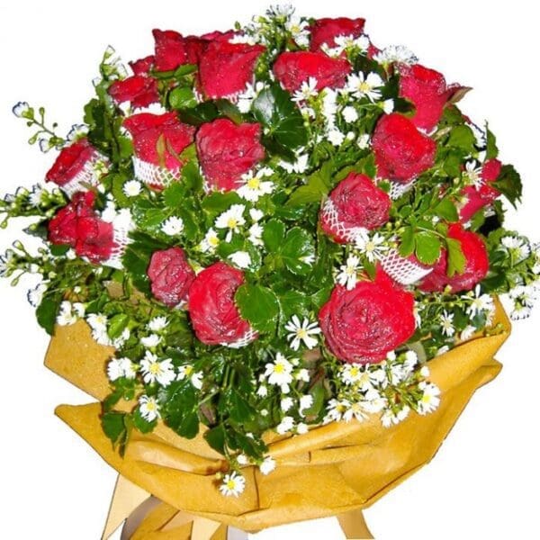 Two dozen red Roses in a bouquet, close up