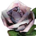 origami money rose close