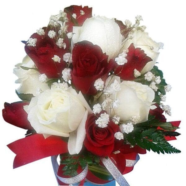 Redand White Roses in a vase, close up
