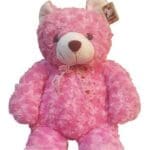 Pink Teddy Bear close