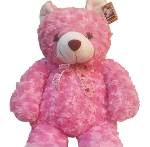 Cute Pink Teddy Bear approximately 40cm high, close up