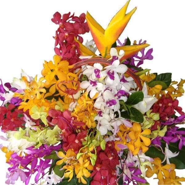 Selection of different orchids and tropical flowers in a basket close up